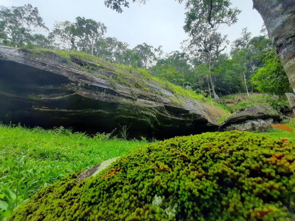 Morada Da Pedra Villa Praia Grande  Eksteriør bilde