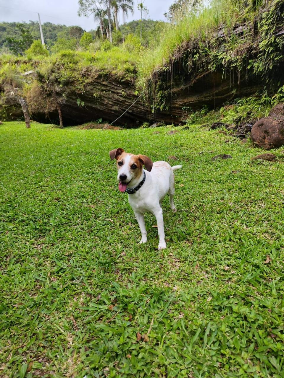 Morada Da Pedra Villa Praia Grande  Eksteriør bilde